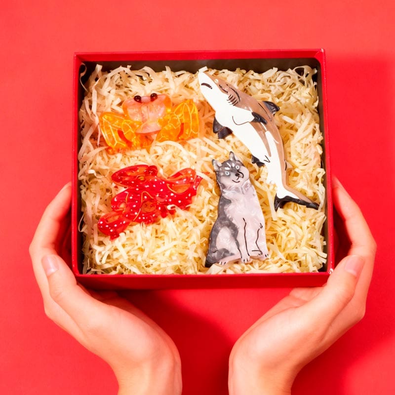 Christmas Gift Set E | NueShiny