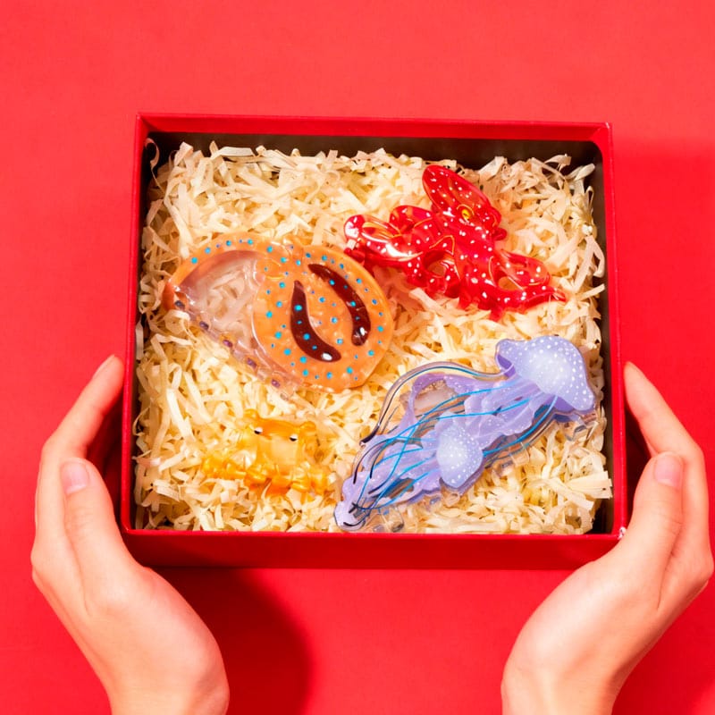 Christmas Gift Set K | NueShiny