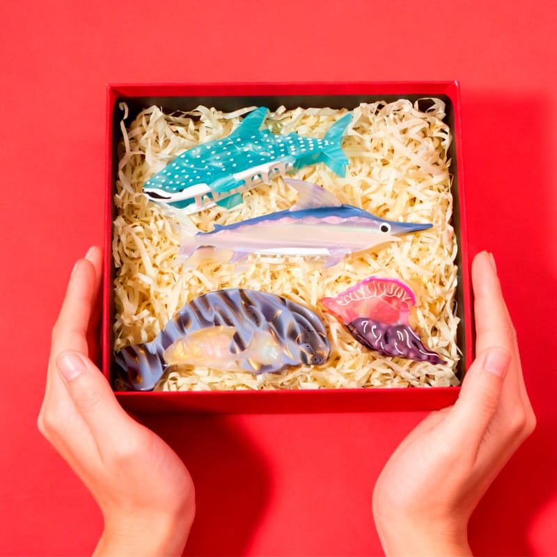 Christmas Gift Set O | NueShiny