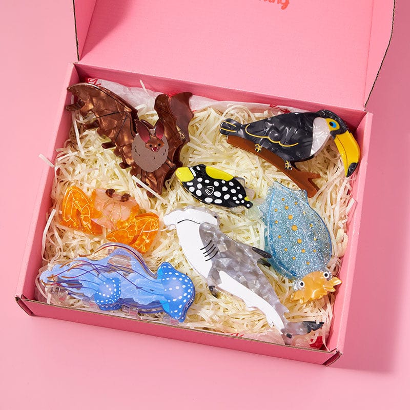 Hair Claw Clips Set D | NueShiny