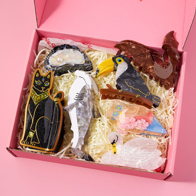 Hair Claw Clips Set P | NueShiny