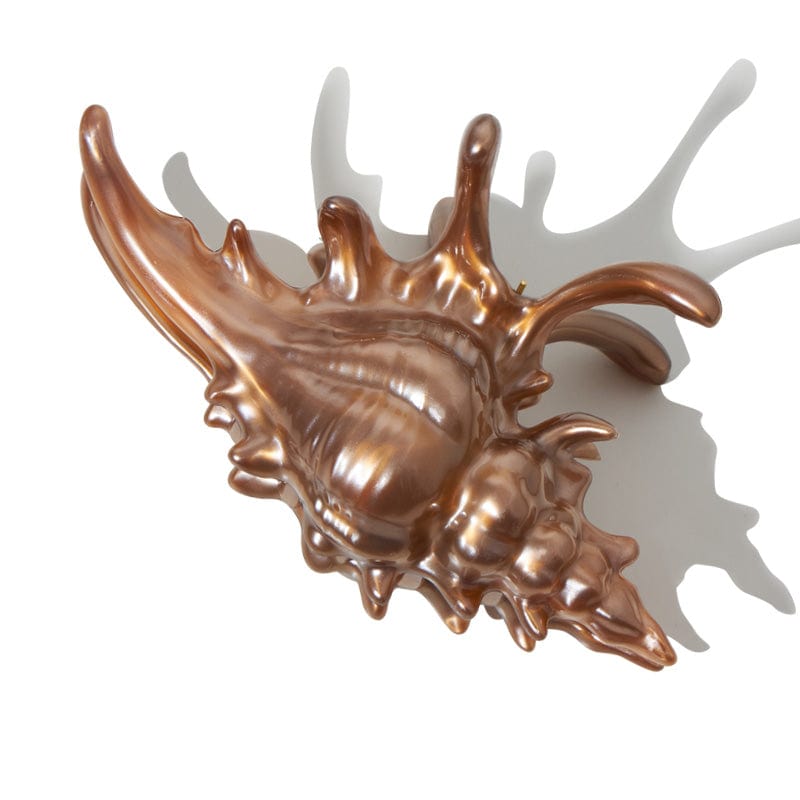 New Process Coffee Conch Hair Claw Clips| NueShiny&BurningMoon