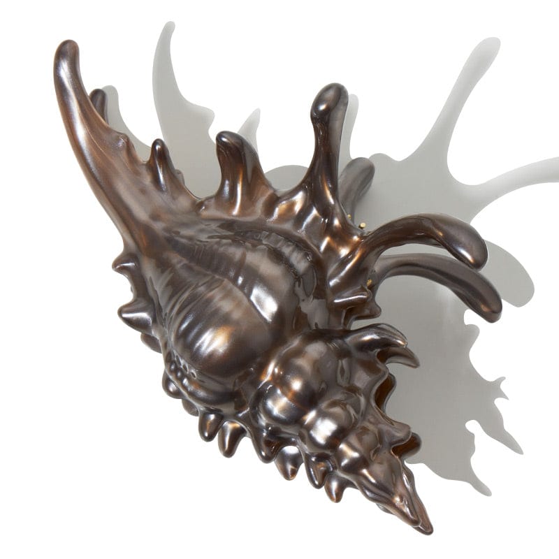 New Process Black Conch Hair Claw Clips| NueShiny&BurningMoon