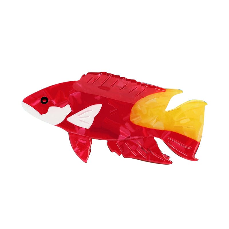Medium Bodianus Pulchellus Hair Claw Clips | NueShiny