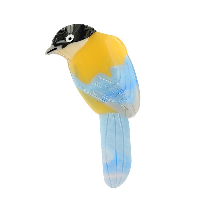 Medium Azure-Winged Magpie Hair Claw Clips | NueShiny