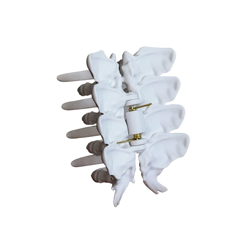 Medium Spine Skeleton Hair Claw Clips | NueShiny & MFP