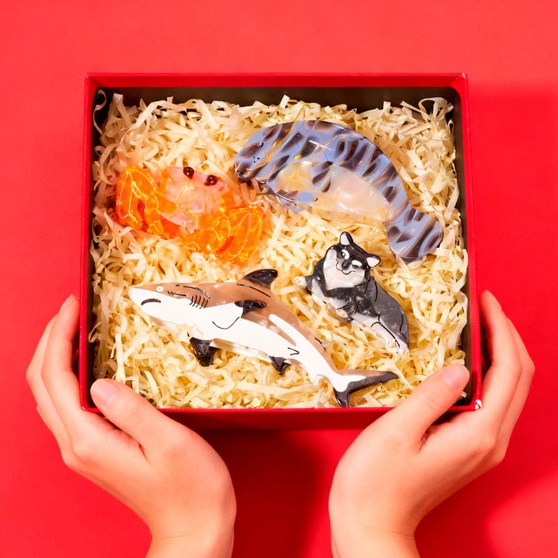 Christmas Gift Set B | NueShiny