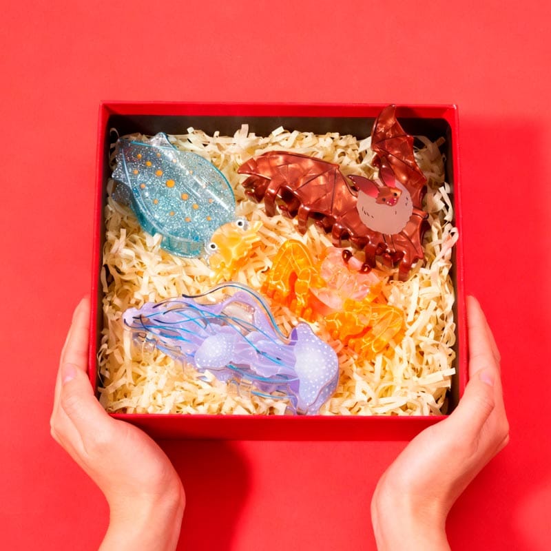 Christmas Gift Set M | NueShiny