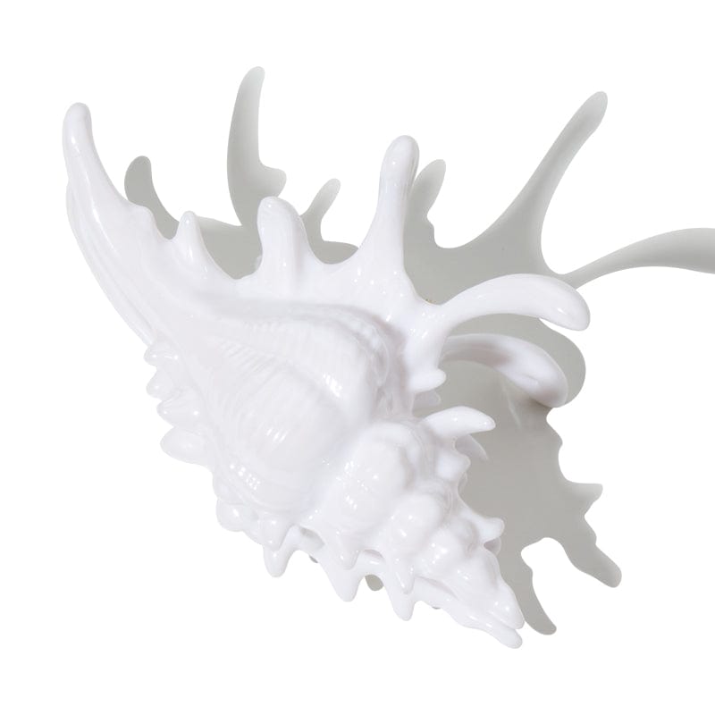 3D Printed White Conch Hair Claw Clips| NueShiny&BurningMoon