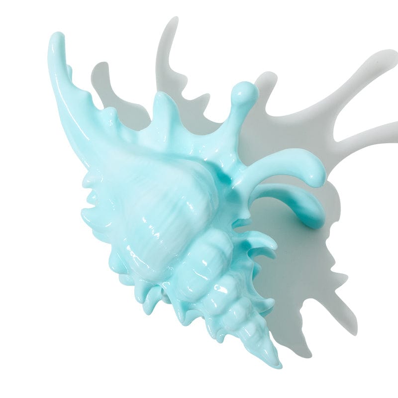 Mint Sea Salt Conch Hair Claw Clips| NueShiny&BurningMoon