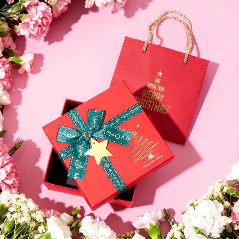 Small Christmas Box | NueShiny